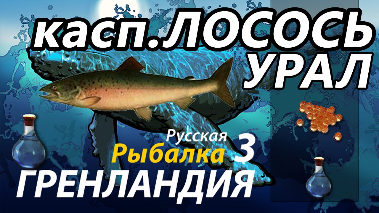 Рр3 волга количество