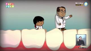 Zamba  Excursión al cuerpo humano: los dientes
