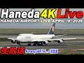 🔵羽田空港 ライブカメラ Haneda Airport Live April 19, 2026 生中継 2026年4月19日 羽田空港ライブ