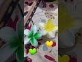 If You Like Yellow Give Yellow ЁЯТЫ Or Green ЁЯТЪ Heart If You Like Yellow Give Yellow ЁЯТЫ Or Green ЁЯТЪ Heart