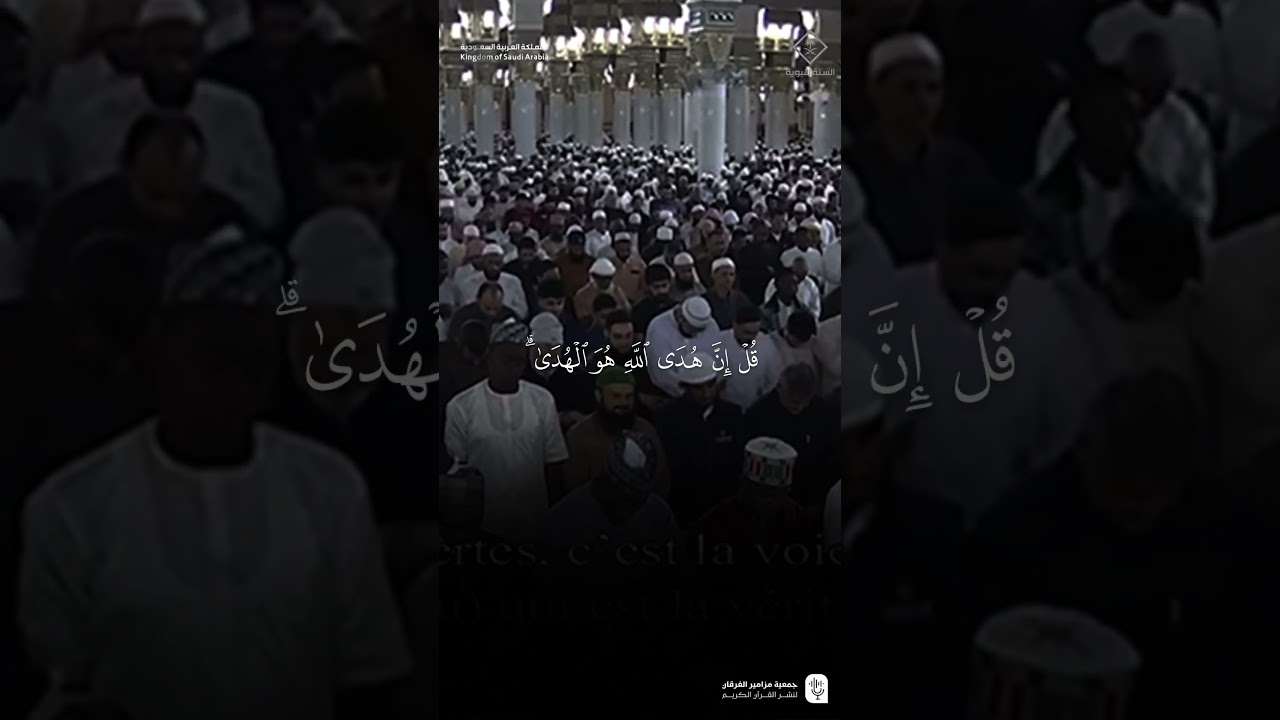 مقتطف من تلاوة فضيلة الشيخ #خالد_المهنا من صلاة التراويح ليلة 2 رمضان 1446هـ.