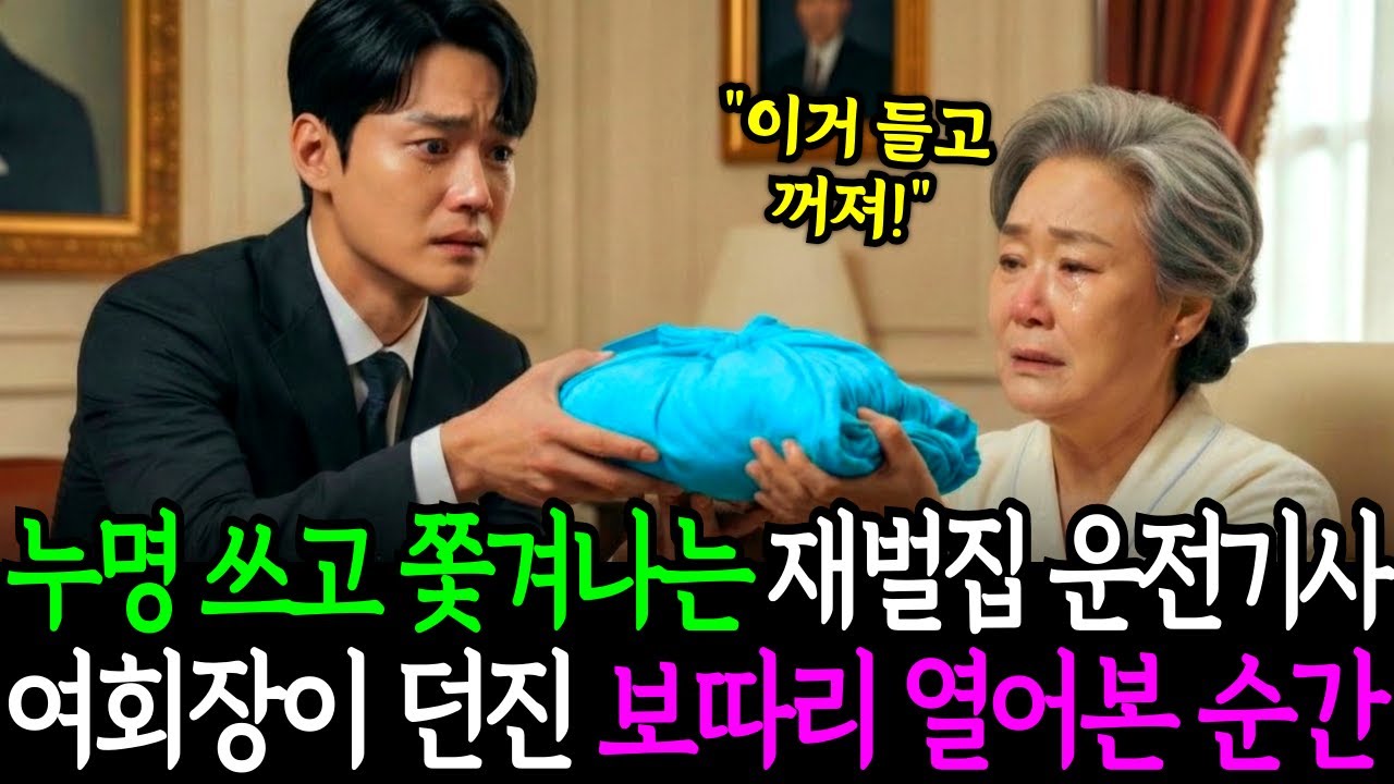 도둑이라며 재벌가에서 쫓겨난 고아 운전기사, 여회장이 던진 보따리 열어보고 가슴을 치며 우는데...ㅣ노후사연ㅣ감동사연ㅣ사연라디오ㅣ오디오북