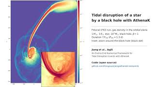 Tidal disruption of a star by a black hole | AthenaK GPU simulation