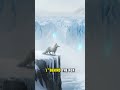 The Loneliest Arctic Fox During the Ice Age 🦊❄️ #shorts #history #youtubeshorts #trending