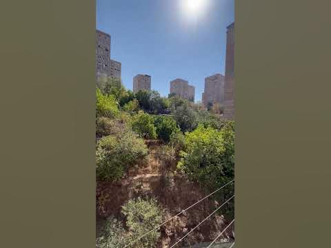 Погода в Ереване сегодня 😎 Жизнь в Армении (район Аван) - YouTube
