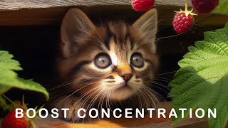 Meow-zing Ways to Boost Concentration with Your Kitten Companion! #cat #kitten #catlover  #music