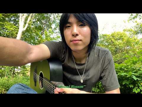 Almond Blossom (Original Song)