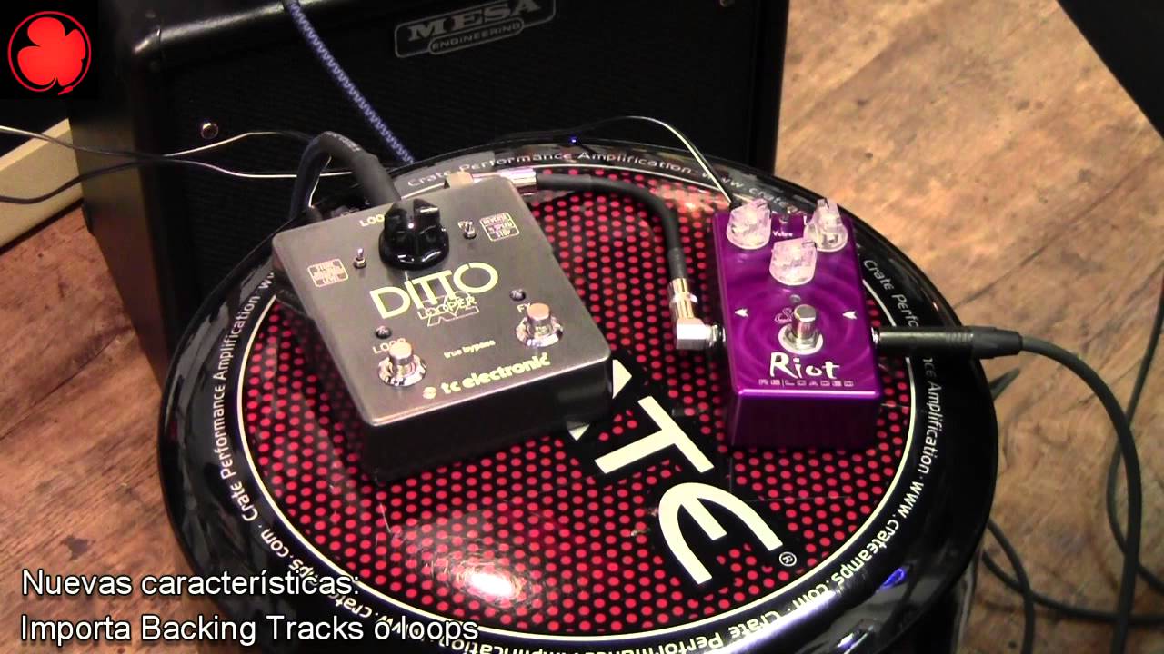 TC Electronic Ditto X2 Looper oitava ganho incentivo polifonia transposição  folk guitarra acústica guitarra elétrica bloco