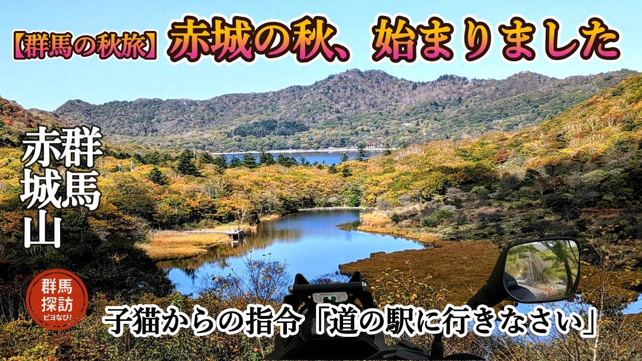 【群馬の秋旅】赤城山に登ったら紅葉MAXの絶景だった！猫からの指令で道の駅の絶品グルメに辿り着いた