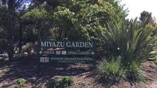 新西兰尼尔森Miyazu日本花园🌸Miyazu Jepaness Garden/Nelson/New Zealand