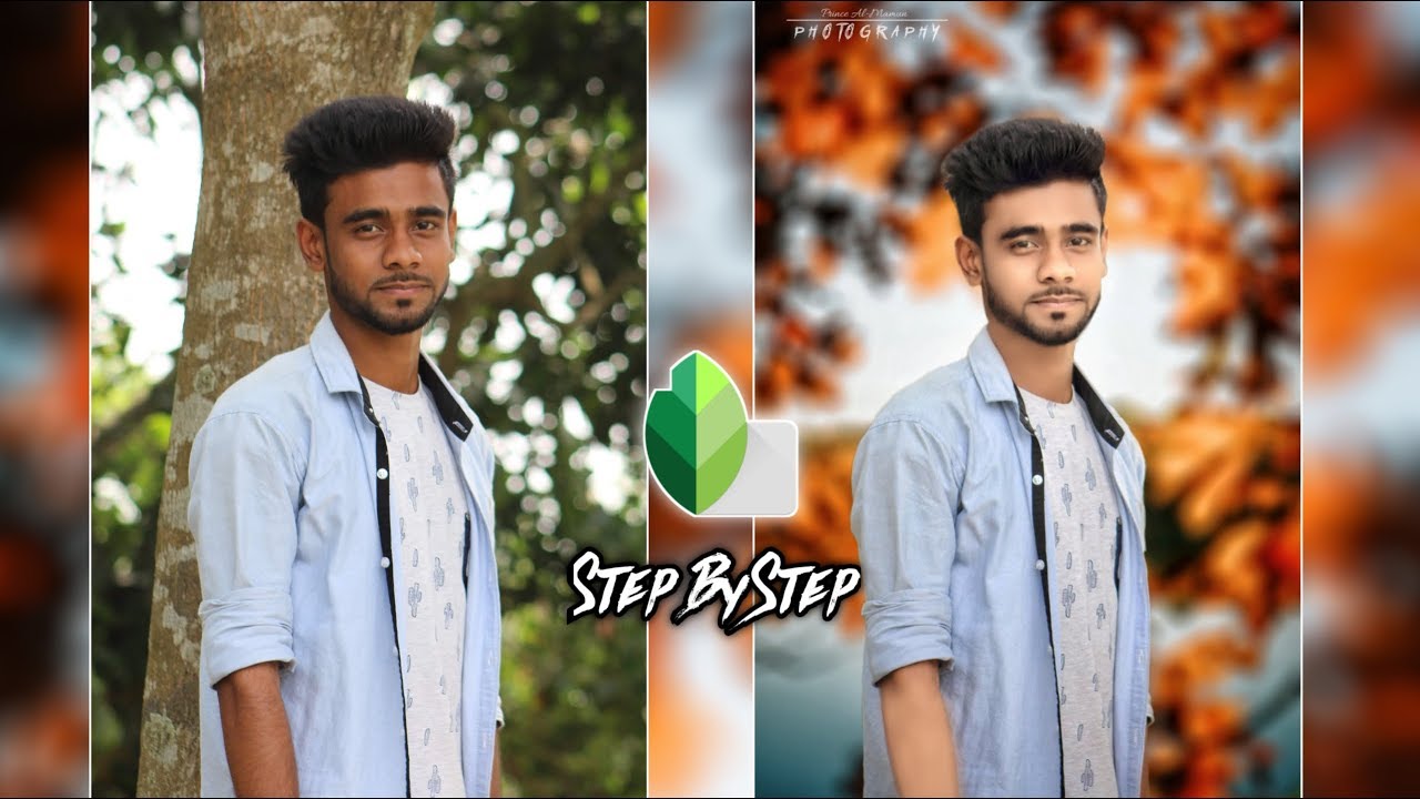 Snapseed Red Leaf Blur Background Change Photo editing Tutorial Step By  Step - YouTube