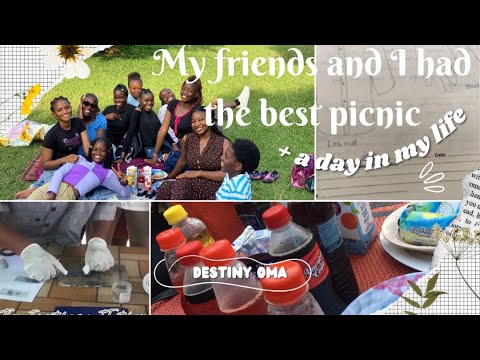 My FRIENDS and I had the best PICNIC / life as a uniben student / Nigeria university / funtimes
