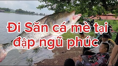 Câu cá mè tại đập ngũ phúc