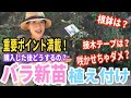 【バラ】春の「新苗」購入後の植え付け / 白花・強香「ボレロ」/ 鉢・土・根鉢・肥料・開花などについて【ガーデニング】