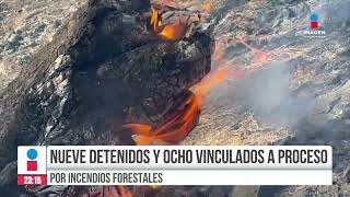 Se registran 9 detenidos y 8 vinculados a proceso por incendios forestales | Rey Suárez