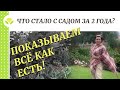 Сад Светланы Михеевой