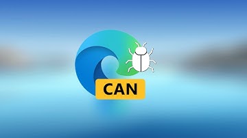 This is What a "Real" Browser Bug Looks Like! The Dangers of Edge Canary!