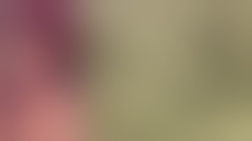 Unsolved Mysteries With Strange Written Clues Part 5