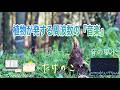 【上昇・才能・成功・繁栄・始動・前進・向上・丹田・ハートチャクラ・528Hz】天に伸びる『タケノコ』が奏でる『音の風水』♪(Part 85)