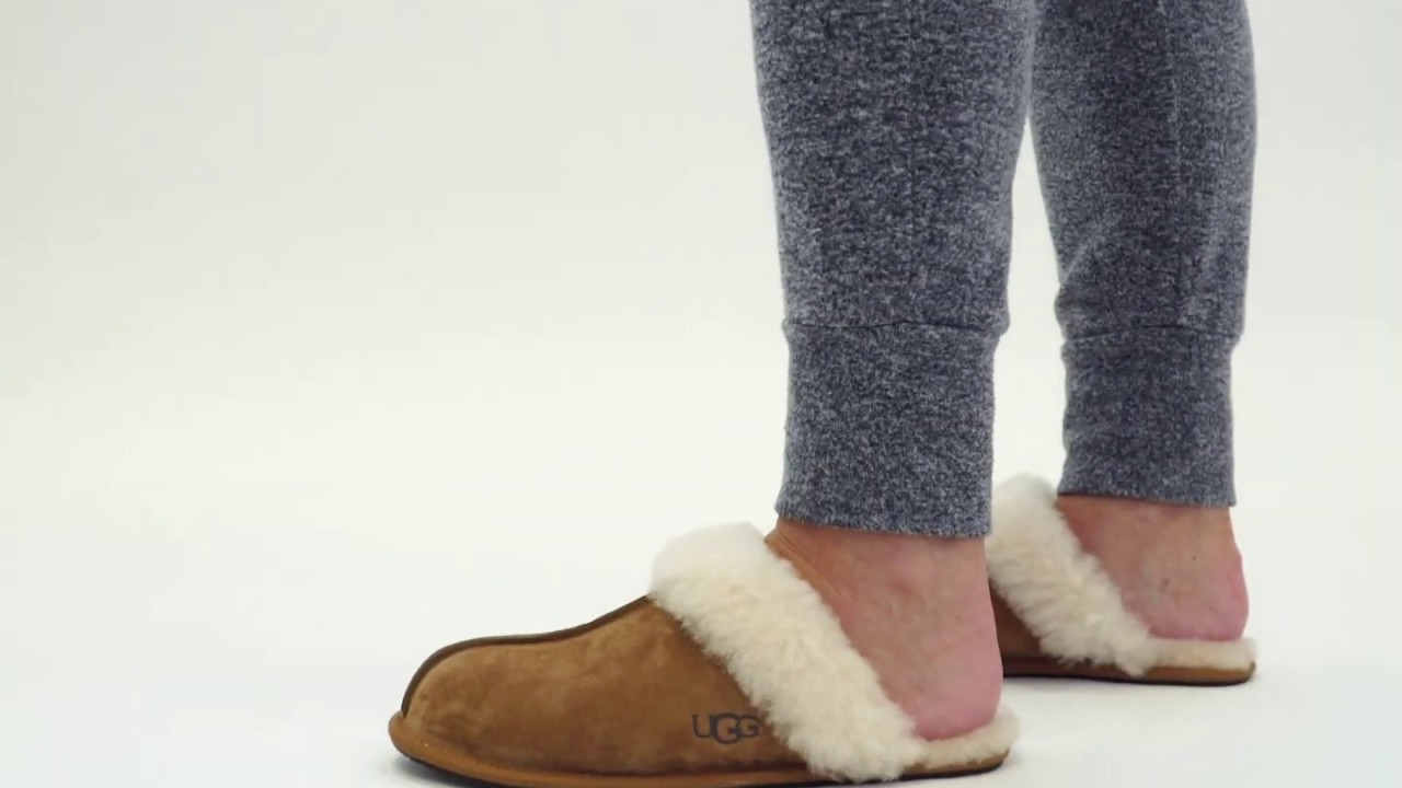 ugg slippers mules