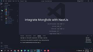 How to use mongodb with next js or any node js application