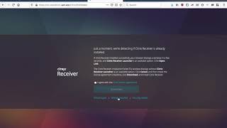 Using The UofA College of Engineering Citrix Labs: Mac