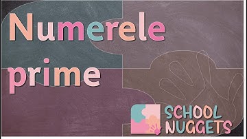Numerele prime: 7 noțiuni esențiale despre numerele prime - Matematică #4