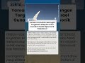 SERANGAN RUDAL BALISTIK Yaman Luncurkan Serangan Targetkan Bandara Ben Gurion Israel Hancur SERANGAN RUDAL BALISTIK Yaman Luncurkan Serangan Targetkan Bandara Ben Gurion Israel Hancur