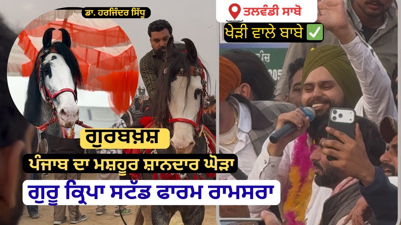ਸ਼ਾਨਦਾਰ ਘੋੜਾ ਗੁਰਬਖ਼ਸ਼ ਗੁਰੂ ਕ੍ਰਿਪਾ ਸਟੱਡ ਫਾਰਮ ਰਾਮਸਰਾ ਡਾ. ਹਰਜਿੰਦਰ ਸਿੱਧੂ।ਪੰਜਾਬ ਸ਼ਿੰਗਾਰ ਖੇੜੀ ਵਾਲੇ ਬਾਬੇ 💯😍