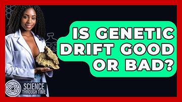 Is Genetic Drift Good Or Bad? - Science Through Time