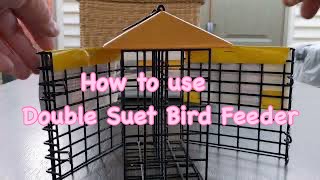 How to Use Suet Bird Feeder