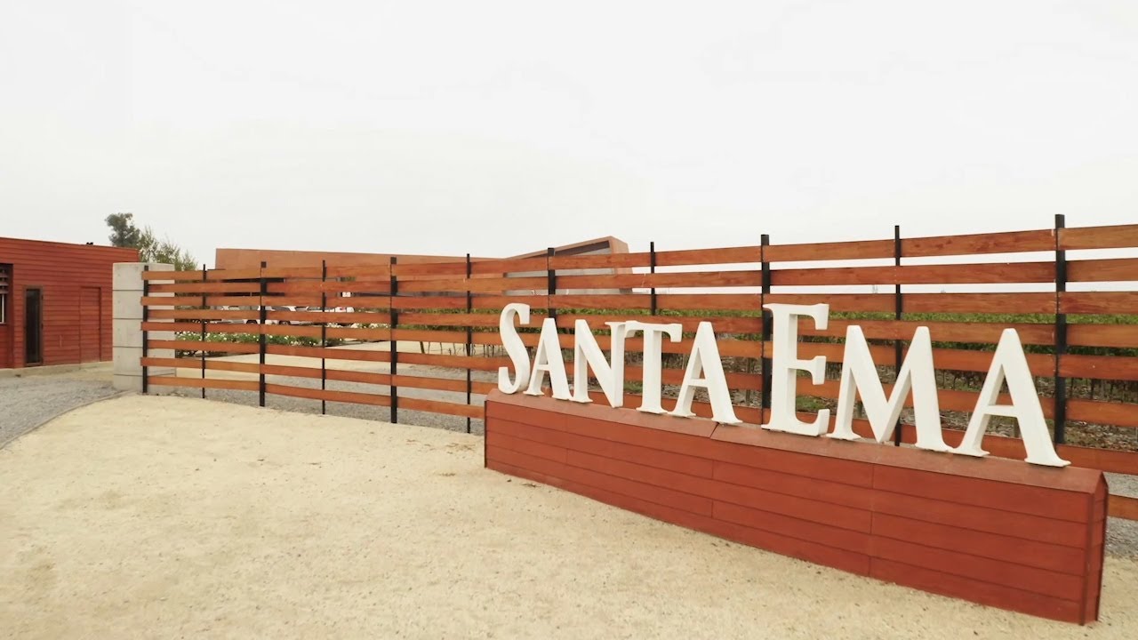 Santa Ema From Above - Great Vineyard Video Footage