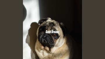 Sprightly Moods for Amusing Days