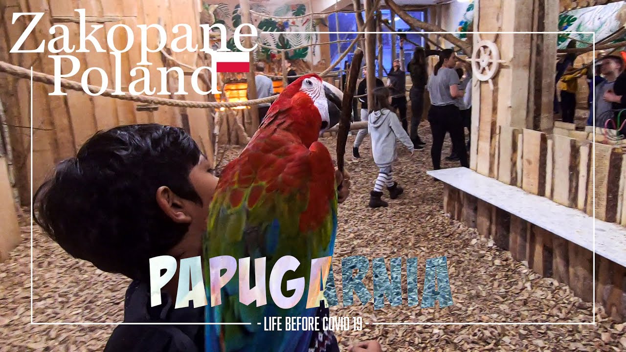 Papugarnia, Zakopane Poland