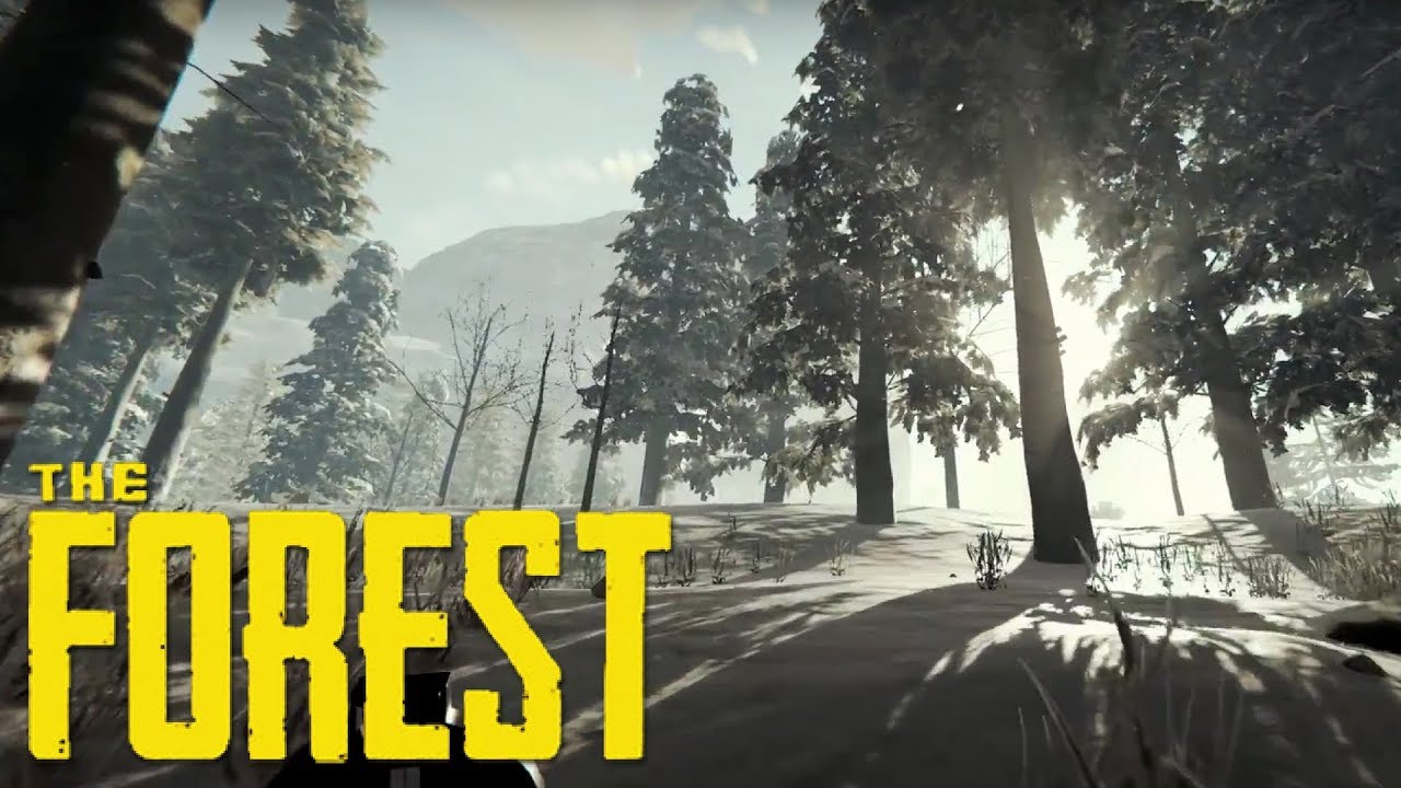 How Big Is The Map In The Forest? Walk Across The Map - Youtube