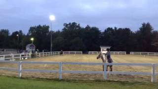 Two-man relay @ equestrian meet