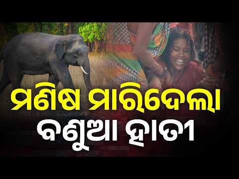 ବିଳମ୍ବିତ ରାତିରେ ବଣୁଆ ହାତୀ ଆକ୍ରମଣରେ ଯୁବକ ମୃତ #knewsodisha