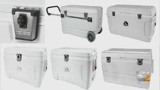 Igloo Recalls 60,000 Marine Coolers Over Suffocation, Entrapment Risks