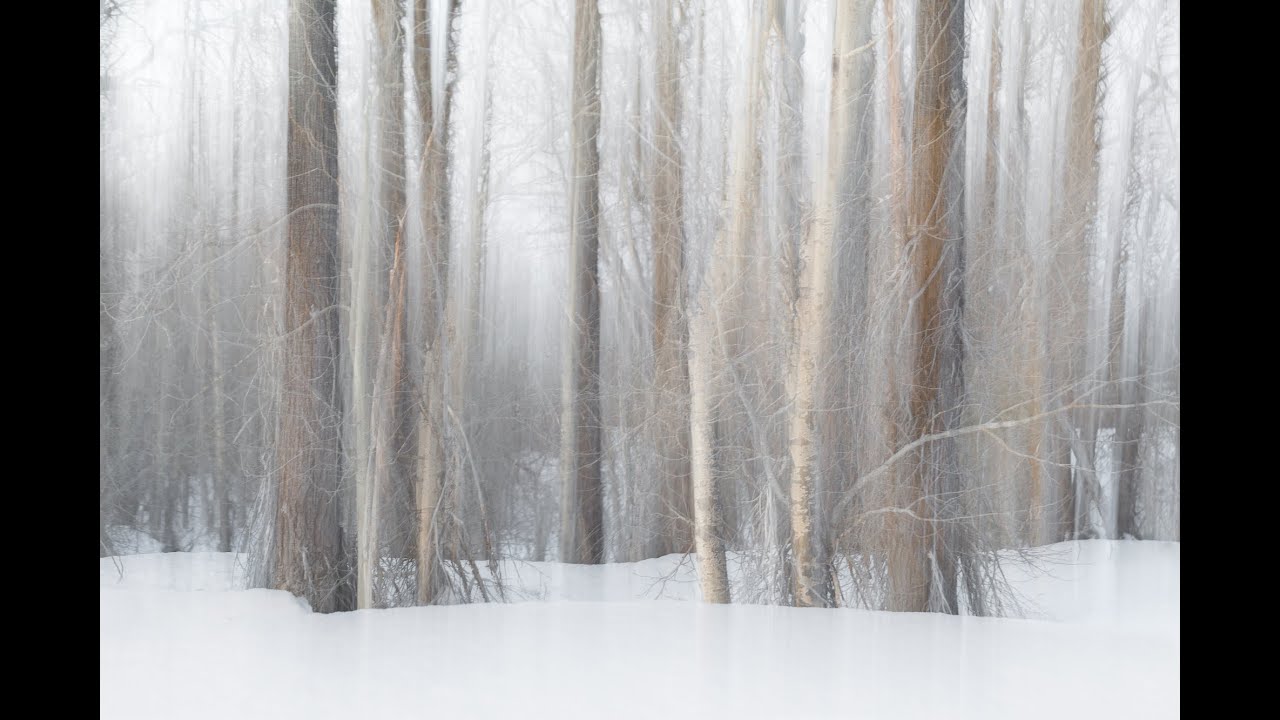 ICM Explanation & Examples