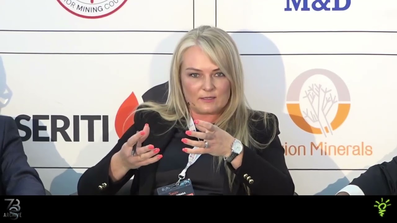 Блиц-презентации генеральных директоров: Marula, Caledonia и Andrada.