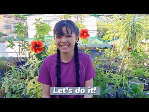 plant mustard cabbage or "mustasa" with me!