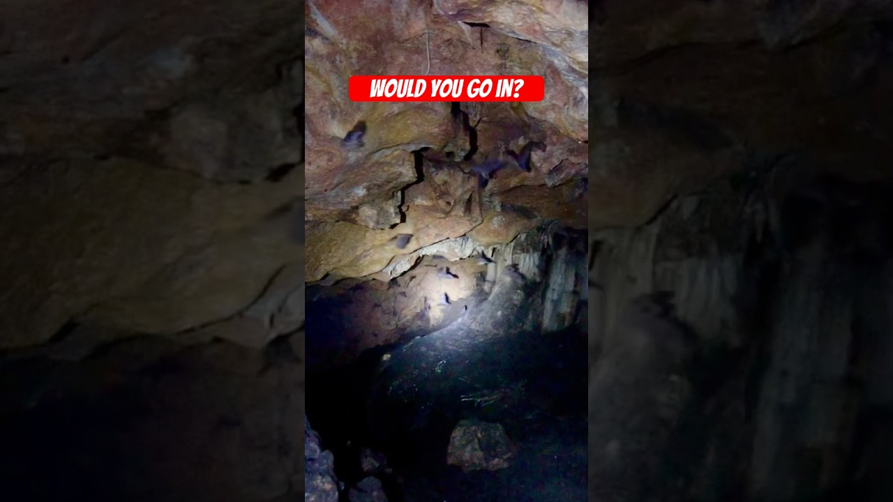 Creepy Bat Cave 🦇 in Tropical Paradise! Would you go in?