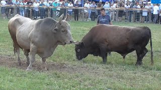 Korida Olovske Luke 2025