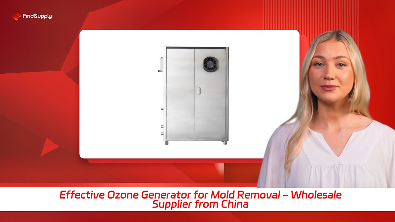 Effective Ozone Generator for Mold Removal - Wholesale Supplier from China