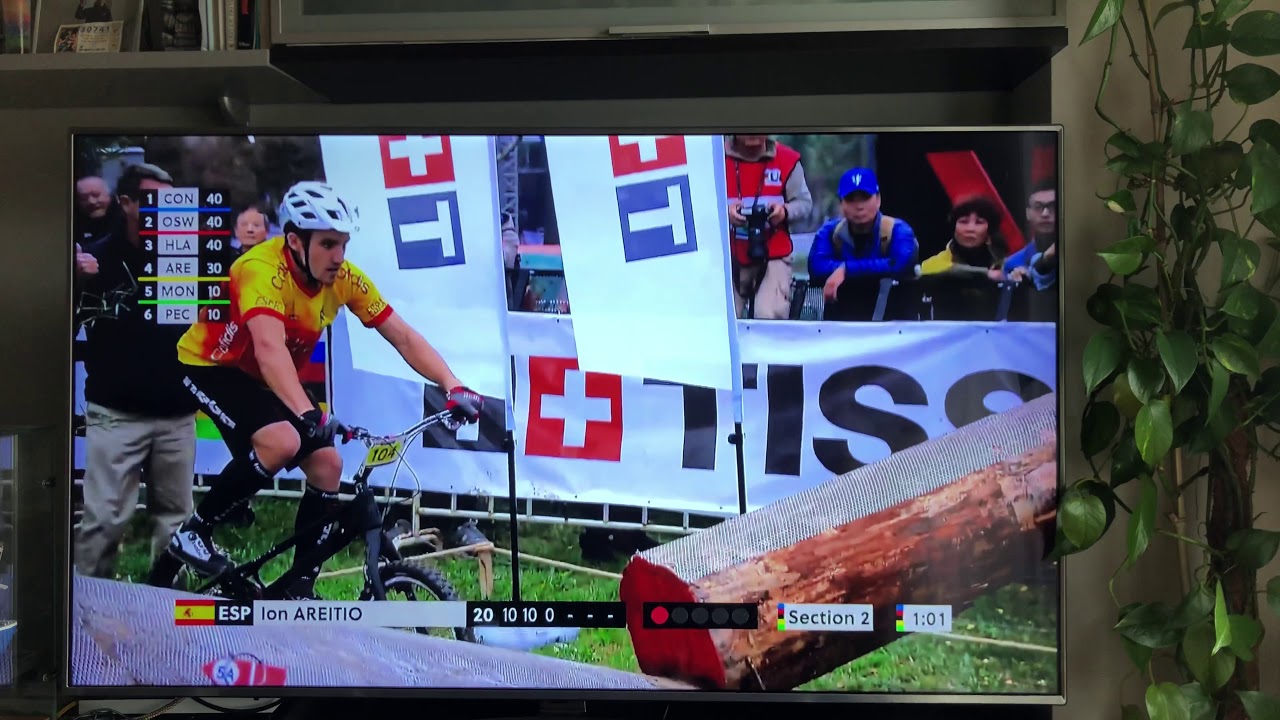 Ion Areitio tríal bike 2019 china