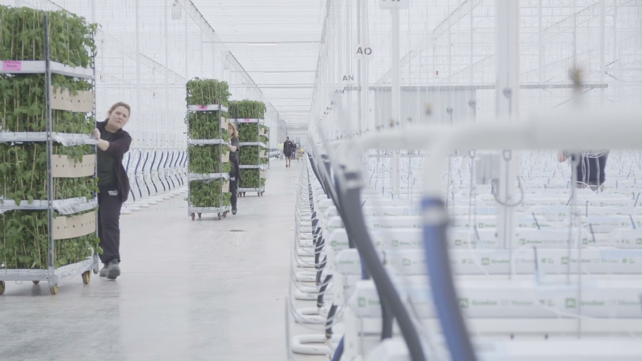 Low Carbon Farming Teaser 4