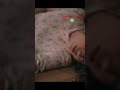 فريد حينقذ سيران