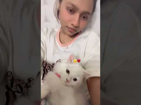 Bina kisi umeed  ke ishq kiya hai 🐾♥️tumse #shortvideo #love #youtubeshorts #officalvideo