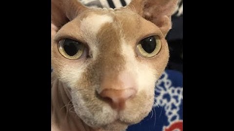 VSC Completion Video(reupload/reverify) - {First Legit Victor?}