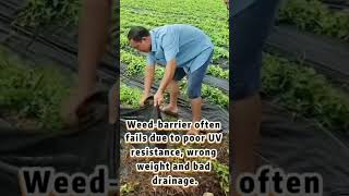 Why weed control fabric fails in landscaping and infrastructure projects